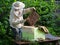 Beekeeper inspects the honeycomb with bees