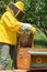 A beekeeper inspects a honeycomb frame from a hive body