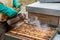 The beekeeper inspects the honeycomb and the hives