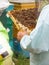 The beekeeper keeps in hand a frame with honeycombs and bees