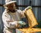 The beekeeper keeps in his hands wax frame with honey