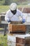 Beekeeper Lifting Frame