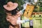 Beekeeper looking at honeycomb brood frame with honey bees