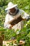 The beekeeper looks at the beehive. Honey collection and bee control.