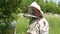 The beekeeper looks at the inoculation of a swarm of bees. A beekeeper in an Australian suit