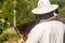 A beekeeper observing a honeycomb in an apiary