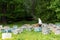 Beekeeper opens a hive. Beehives and flowering dandelions.