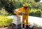 a beekeeper performing a bee-hive split at an apiary in the Caribbean