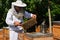 Beekeeper in a protective hat wearing on white shirt holding a f