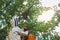 Beekeeper putting beehive from tree into box.