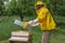 A beekeeper raises the lid of a hive to check on the bee colony