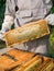 Beekeeper removing honeycomb from beehive. Person in beekeeper suit taking honey from hive. Farmer wearing bee suit