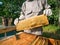 Beekeeper removing honeycomb from beehive. Person in beekeeper suit taking honey from hive. Farmer wearing bee suit