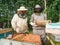 Beekeeper removing honeycomb from beehive. Person in beekeeper suit taking honey from hive. Farmer wearing bee suit