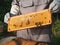 Beekeeper removing honeycomb from beehive. Person in beekeeper suit taking honey from hive. Farmer wearing bee suit