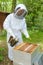 Beekeeper smoking the hive