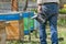 A beekeeper smoking the hives with metal bee smoker in spring garden.