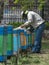 A beekeeper smoking the hives with old metal bee smoker in spring garden.