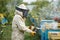 Beekeeper smoking honey bees with bee smoker on the apiary