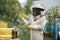 Beekeeper smoking honey bees with bee smoker on the apiary