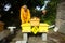 A beekeeper splitting his inventive double hive with an automatic honey dispenser