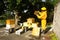 A beekeeper splitting his inventive double hive with an automatic honey dispenser