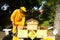 A beekeeper splitting his inventive double hive with an automatic honey dispenser