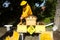 A beekeeper splitting his inventive double hive with an automatic honey dispenser