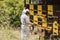 Beekeeper surrounded by a bee swarm, checking the hive