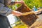 beekeeper swipes bees from frame, uniting bee family and puts frame with queen cells in apiary. Beekeeping. Beekeeper