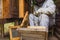 Beekeeper taking out the honey frame from a wooden beehive