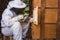 Beekeeper taking out the honey frame from a wooden beehive