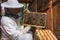 Beekeeper taking out the honey frame from a wooden beehive