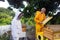 a beekeeper in the tropics teaching the basics of his inventive apiary to a student