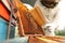 Beekeeper in uniform brushing honey frame at apiary, closeup