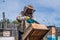 Beekeeper uses air-blowing device to brush bees aside. Bees swarm in collection container. Beekeeper handles receptacle