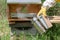 A beekeeper uses a smoker near the entrance to the hive to calm honey bees