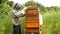 Beekeeper using bee smoker