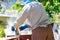 Beekeeper using a bee smoker to calm down bees