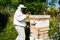 Beekeeper wearing protective workwear and gloves prepares to open beehive using bee smoker