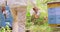 Beekeeper in white protective suit goes away from the camera towards the hives in background He holds the new smoker and