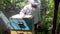 Beekeeper work in the apiary