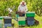 Beekeeper at Work. Bee keeper lifting shelf out of hive. The beekeeper saves the bees.