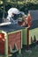 Beekeeper working in apiary