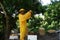 a beekeeper working at an apiary in the southern caribbean