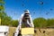 Beekeeper Working Among the Bees