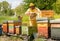 Beekeeper is working with bees and beehives on the apiary