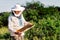 Beekeeper is working with bees and beehives on the apiary. Bees on honeycomb. Frames of a bee hive. Beekeeping. Honey