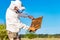 Beekeeper is working with bees and beehives on the apiary. Bees on honeycomb. Frames of a bee hive. Beekeeping. Honey