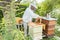 Beekeeper working with bees in beehouse